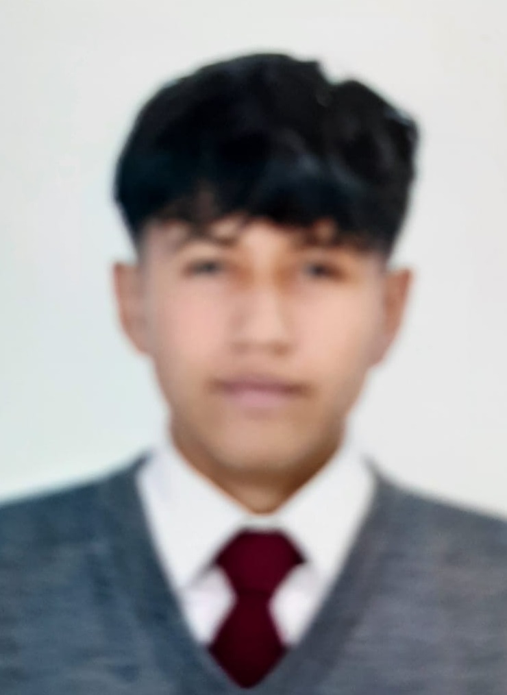 User Image