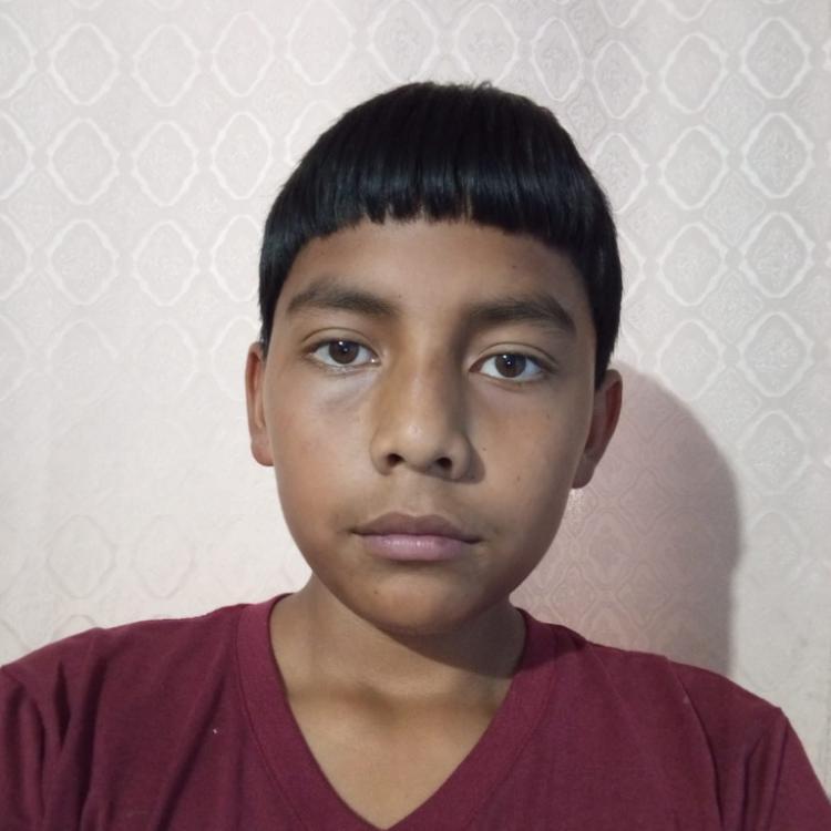 User Image