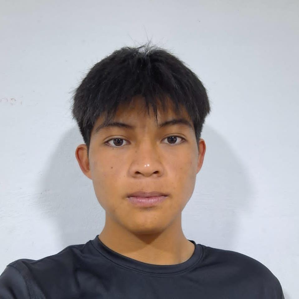 User Image