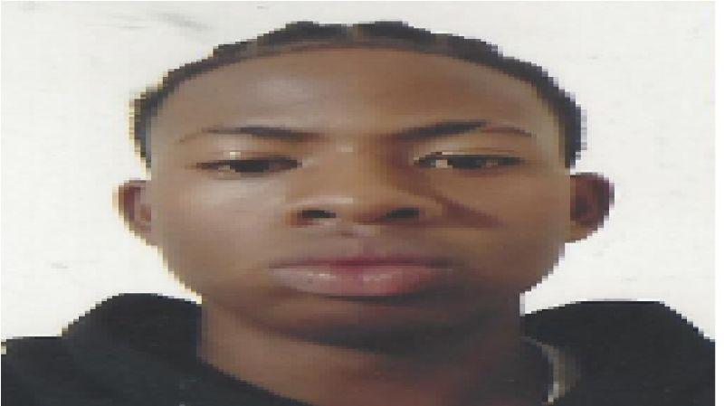 User Image